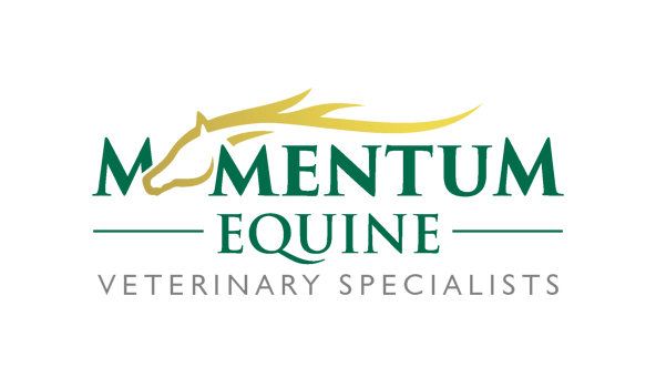 Momentum Equine