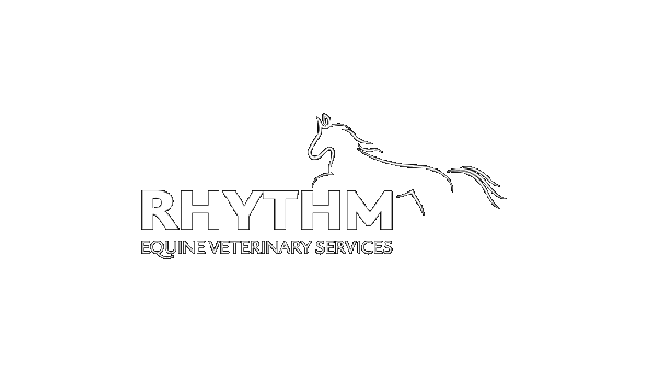 Rhythm Equine Veterinary Services