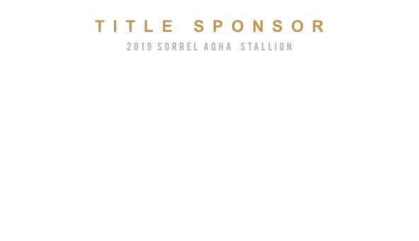 Rising FromThe Ashes